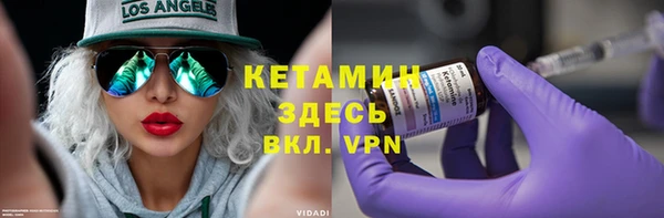 сатива Балахна
