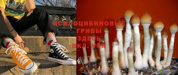 кокс Армянск