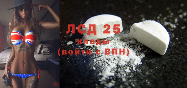 сатива Балахна